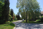 landscaping16