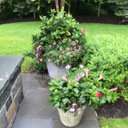 landscaping21