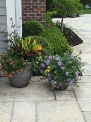 landscaping63